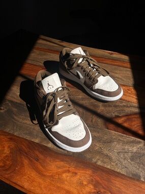Nike Low Dunk Sneakers in White and Brown